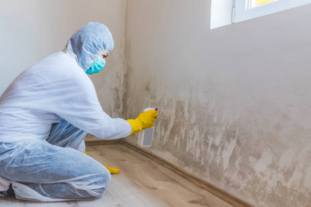 Crawl Space Mold Remediation treatment of floor joists in Clifton
