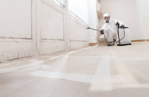 Post-remediation clearance in Clifton